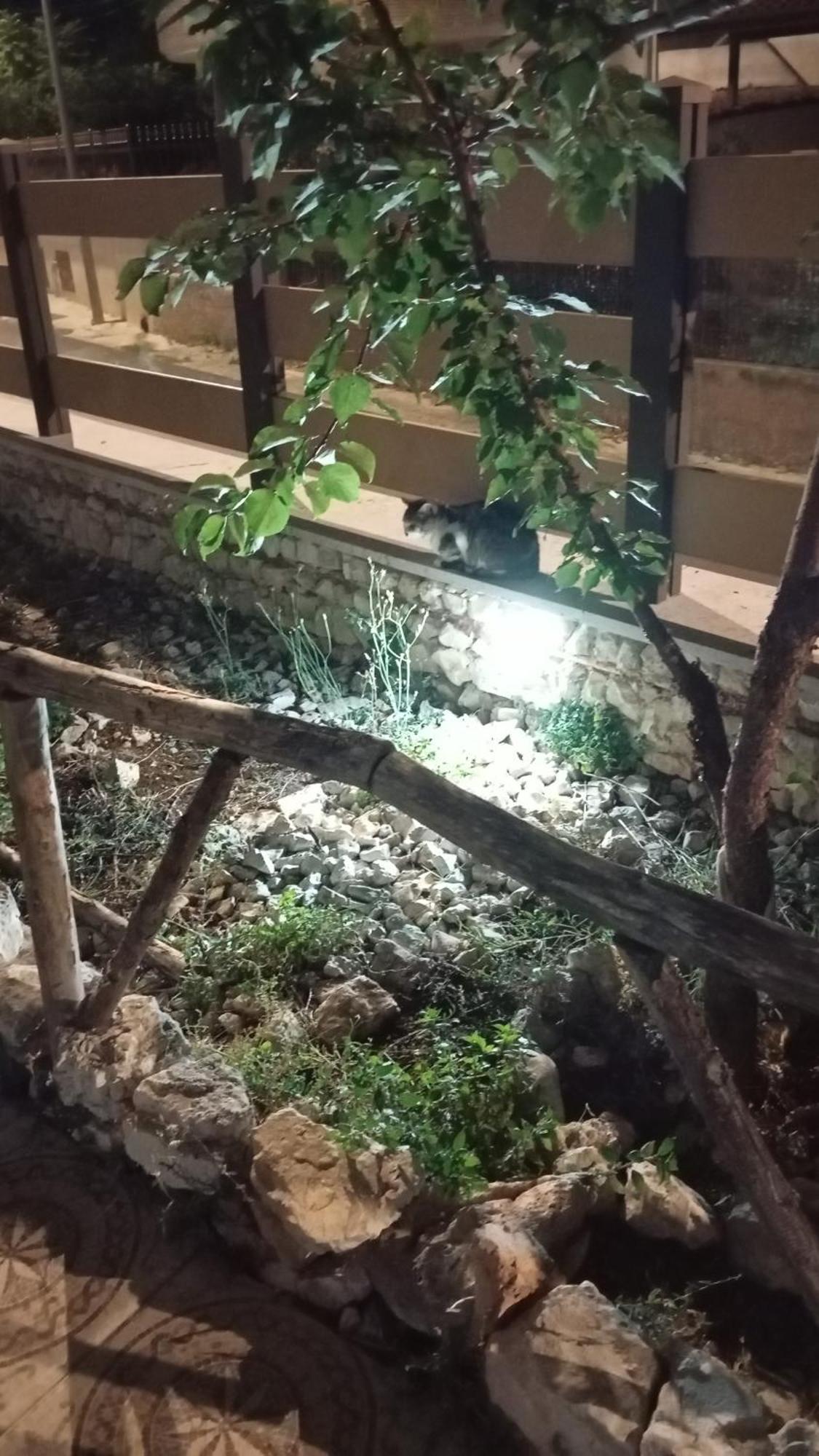 Villa Uria Monolocali Con E Senza Angolo Cottura Ischitella Bagian luar foto